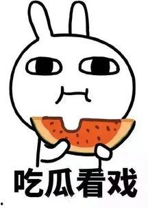 娱乐吃瓜酱脑