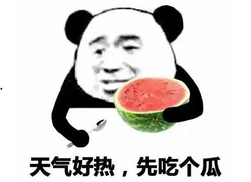吃瓜表情包怎么回复别人,轻松回应，幽默互动